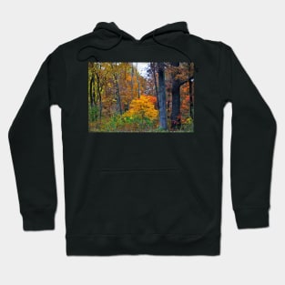 Woodland Tapistry Hoodie